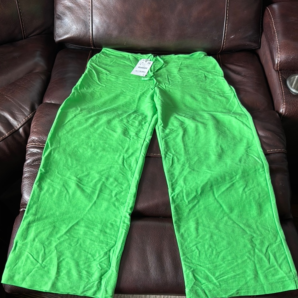 Zara Green Wide Leg Pants